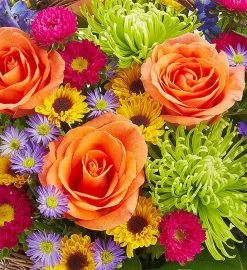 Bloom Of The Month Club -Gift Promotion Store 95145x