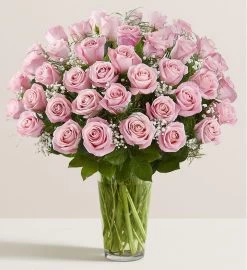 Ultimate Elegance ™ Premium Long Stem Pink Roses -Gift Promotion Store 98713lx 1