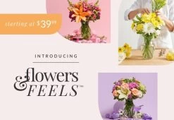 Lavender Garden Bouquet + Free Vase -Gift Promotion Store flowers and feels global nav banner 580x400 2