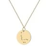 Gold Constellation Star Zodiac Necklace -Gift Promotion Store mk002260x