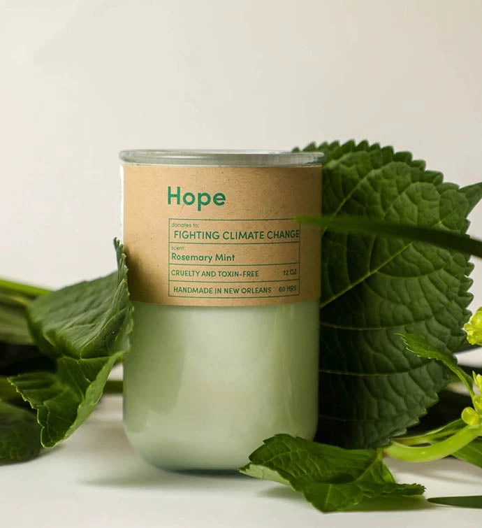 Hope Candle - Gives To Fighting Climate Change: Sierra Club 5 Hope Candle - Gives To Fighting Climate Change: Sierra Club - Image 3