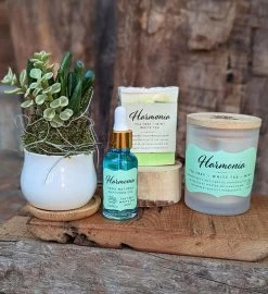 Handcrafted Fragrance Gift Set With Dried Flowers And Oyster Shell 15 Handcrafted Fragrance Gift Set With Dried Flowers And Oyster Shell -Gift Promotion Store mk009630alt view2c