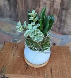 Handcrafted Fragrance Gift Set With Dried Flowers And Oyster Shell 14 Handcrafted Fragrance Gift Set With Dried Flowers And Oyster Shell -Gift Promotion Store mk009630alt viewc