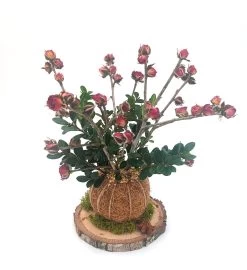 Dried Pampas Bouquet - Beige -Gift Promotion Store mk009871alt view2c 1