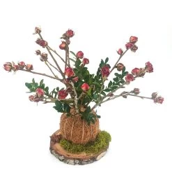 Handcrafted Preserved Rose Flower Centerpiece | I Love You Gift -Gift Promotion Store mk009871alt viewc