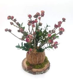 Dried Pampas Bouquet - Beige -Gift Promotion Store mk009871x 4