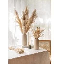 Xl Pampas Grass, Bunch Of 4 Stems -Gift Promotion Store mk010968alt view2c