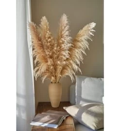 Xl Pampas Grass, Bunch Of 4 Stems -Gift Promotion Store mk010968alt viewc