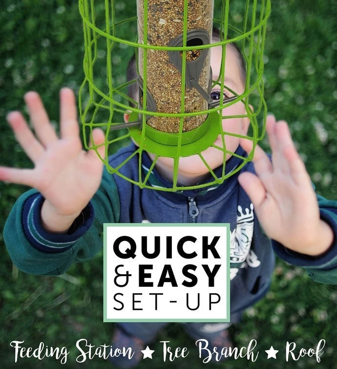 Bird Feeder Squirrel Resistant 6 Bird Feeder Squirrel Resistant - Image 4