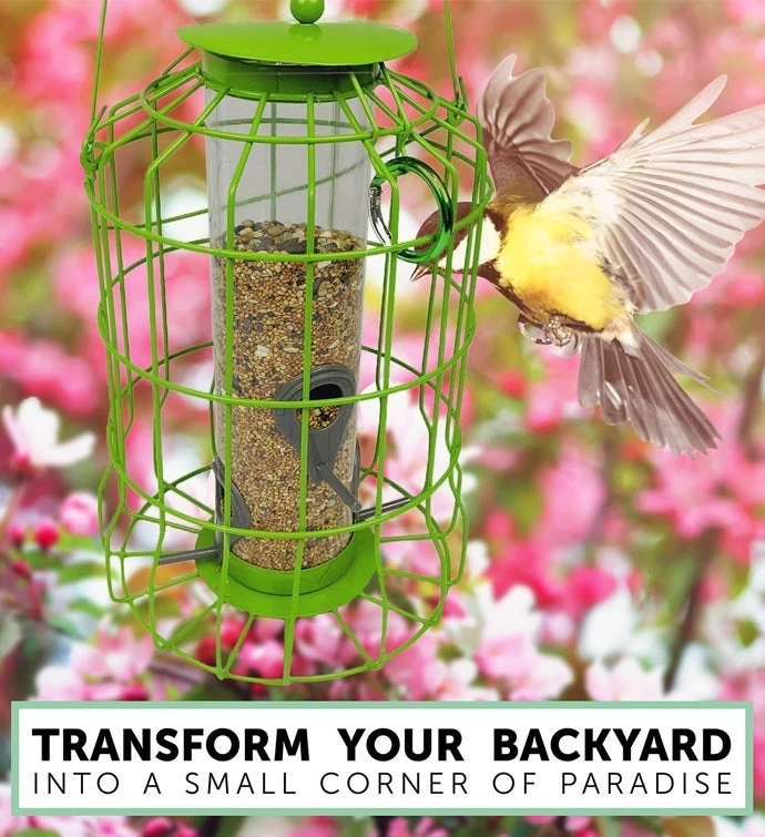 Bird Feeder Squirrel Resistant 5 Bird Feeder Squirrel Resistant - Image 3