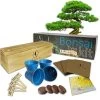 Premium Bonsai Tree Kit -Gift Promotion Store mk015588x