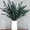 Euc' Got This! - Dried Eucalyptus Bouquet