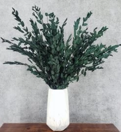 Euc' Got This! - Dried Eucalyptus Bouquet -Gift Promotion Store mk015916x 2