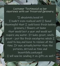 Euc' Got This! - Dried Eucalyptus Bouquet -Gift Promotion Store mk015919alt viewc