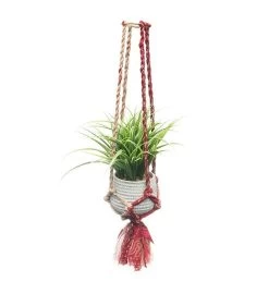 Sari Macrame Plant Hanger - Medium -Gift Promotion Store mk018500x 2