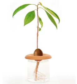 Terracotta Seed Sprouters -Gift Promotion Store mk018520alt viewc