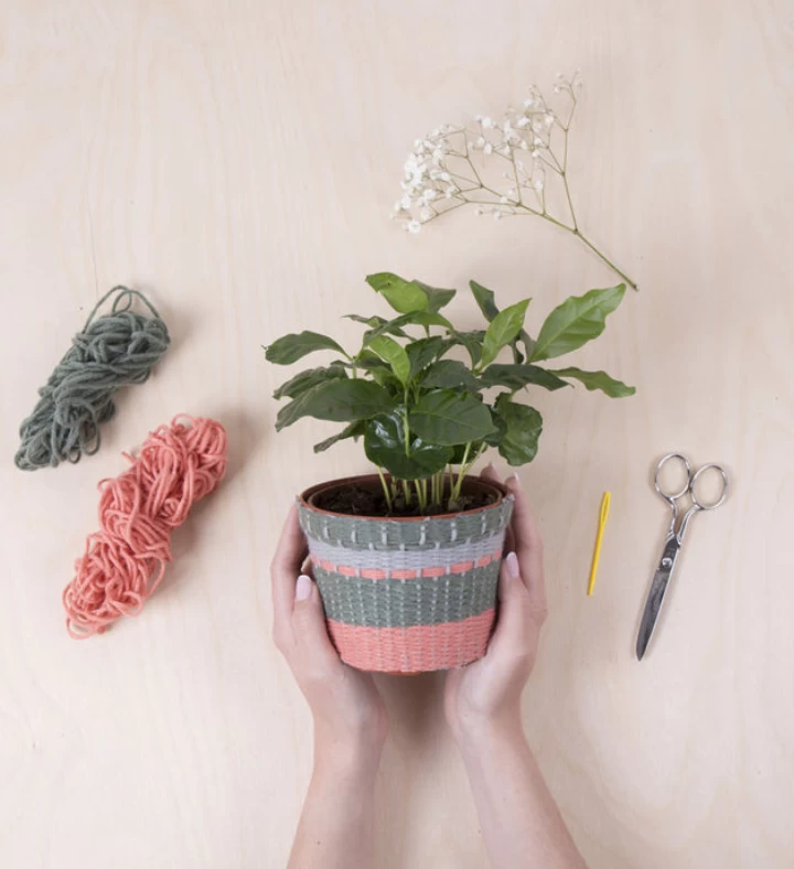 Knit Your Own Planter Cover Kit 3 Knit Your Own Planter Cover Kit