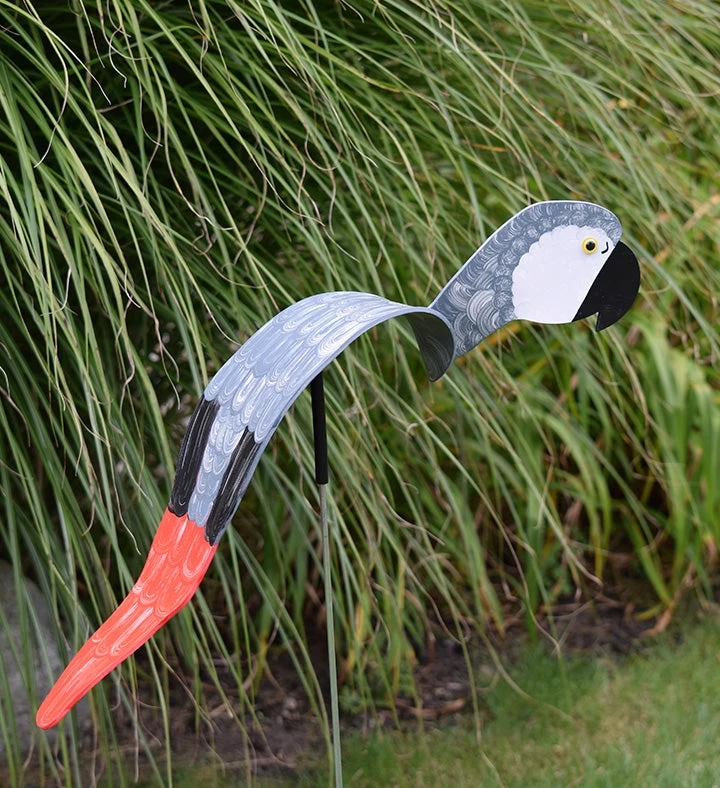 Parrot 4 Parrot - Image 2