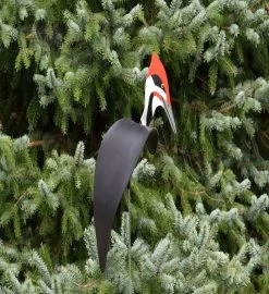 Pileated Woodpecker -Gift Promotion Store mk018712x 1