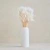 Bunny Tails Bunch -Gift Promotion Store mk018745x