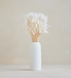 Bunny Tails Bunch -Gift Promotion Store mk018745x 2