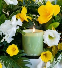 Saffron Vanilla Candle -Gift Promotion Store mk018761alt view2c