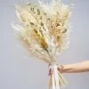 Dried Pampas Bouquet - Beige -Gift Promotion Store mk018957x