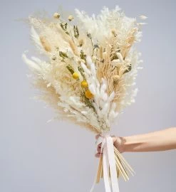Dried Pampas Bouquet - Beige -Gift Promotion Store mk018957x 2