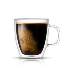 Savor Double Wall Glasses Set Of 2