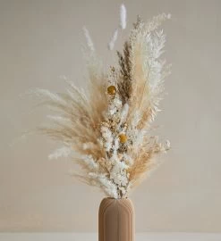 Dried Pampas Grass Bouquet - Dream -Gift Promotion Store mk019275x 2
