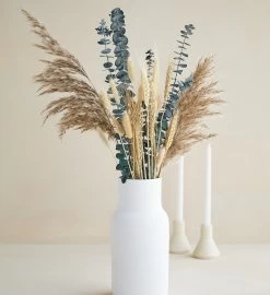 Eucalyptus Pampas Set