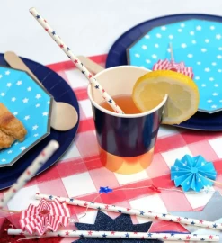 U.s. Of Yay! Star Banner -Gift Promotion Store mk019430alt viewc