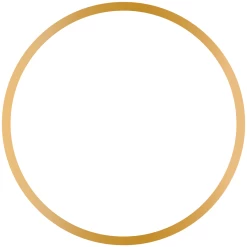 White And Gold Classic Large Plates (10 Per Pack) -Gift Promotion Store mk019459alt view3c