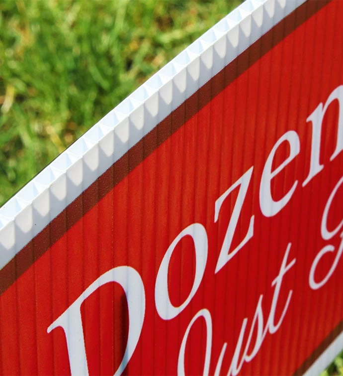 Golden Girls, Dozen Red Roses– Massive Yard Sign Display 5 Golden Girls, Dozen Red Roses– Massive Yard Sign Display - Image 3