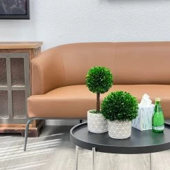 Naturally Preserved Boxwood 9.5" Tall 10 Naturally Preserved Boxwood 9.5" Tall -Gift Promotion Store mk019648alt viewc