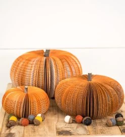 Set Of Rustic Orange Pumpkins -Gift Promotion Store mk020699x 2
