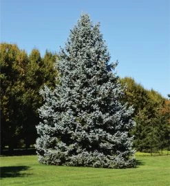 Arbor Day Seed Grow Kit -Gift Promotion Store mk021643alt view3c