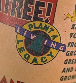 Giant Sequoia Seed Grow Kit 11 Giant Sequoia Seed Grow Kit -Gift Promotion Store mk021644alt view2c