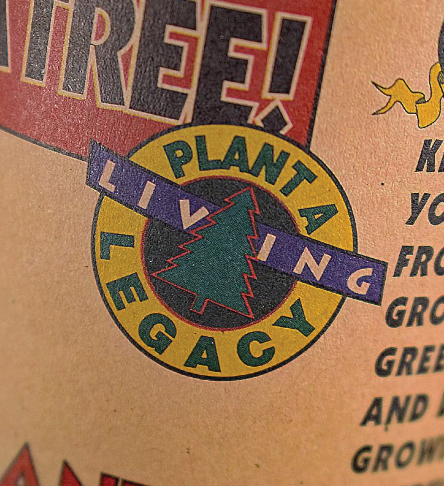 Giant Sequoia Seed Grow Kit 6 Giant Sequoia Seed Grow Kit - Image 4