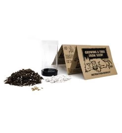 Dogwood Seed Grow Kit -Gift Promotion Store mk021654alt viewc