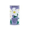 Dogwood Seed Grow Kit -Gift Promotion Store mk021655x