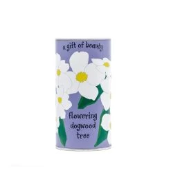 Dogwood Seed Grow Kit -Gift Promotion Store mk021655x 2