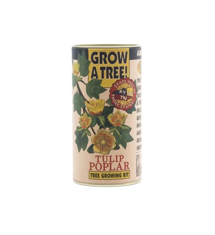 Tulip Poplar Seed Grow Kit 3 Tulip Poplar Seed Grow Kit