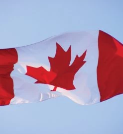 Canada Sugar Maple Seed Grow Kit -Gift Promotion Store mk021658alt view2c