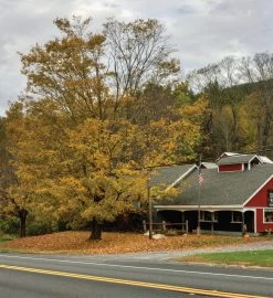 Canada Sugar Maple Seed Grow Kit -Gift Promotion Store mk021658alt view3c