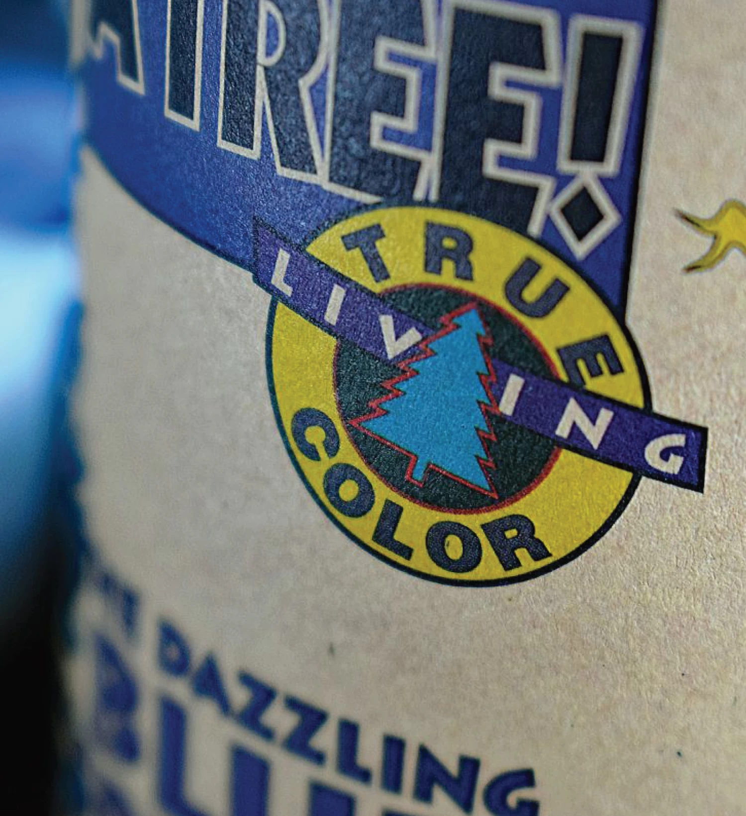 Colorado Blue Spruce Seed Grow Kit 6 Colorado Blue Spruce Seed Grow Kit - Image 4