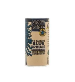 Colorado Blue Spruce Seed Grow Kit 13 Colorado Blue Spruce Seed Grow Kit -Gift Promotion Store mk021659x 2