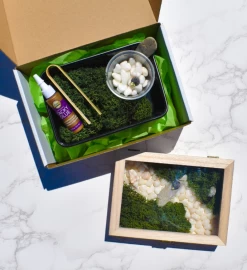 I Love You To The Moon Diy Moss Wall Art, Riverway -Gift Promotion Store mk021827alt viewc