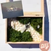I Love You To The Moon Diy Moss Wall Art, Riverway
