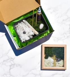 Thank You So Much Diy Moss Wall Art Kit, Mossy Tree -Gift Promotion Store mk021828alt viewc